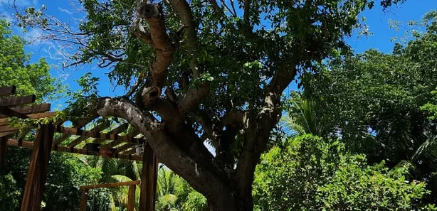 Casa de Condomínio com 6 Quartos à venda, 400m² no Guarajuba (Monte Gordo), Camaçari