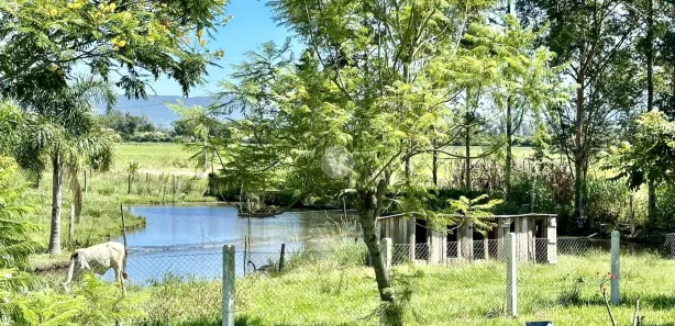 Fazenda / Sítio / Chácara com 2 Quartos à venda, 20000m² no Palma, Santa Maria