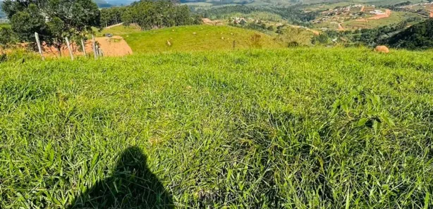 Fazenda / Sítio / Chácara com 3 Quartos à venda, 1000m² no , Igaratá