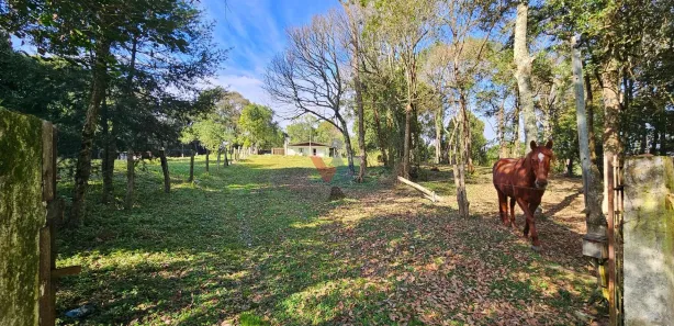 Fazenda / Sítio / Chácara com 2 Quartos à venda, 120m² no Área Rural de Araucária, Araucária