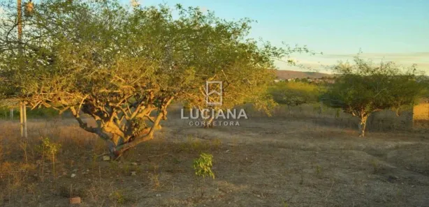 Fazenda / Sítio / Chácara à venda, 20000m² no Povoado Insurreição, Sairé