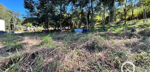 Terreno / Lote / Condomínio à venda, 3413m² no Bom Jardim, Bom Jardim