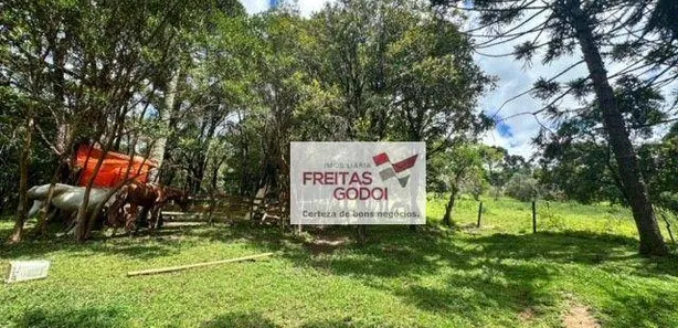 Terreno / Lote / Condomínio à venda, 62470m² no Zona Rural, Itaperuçu