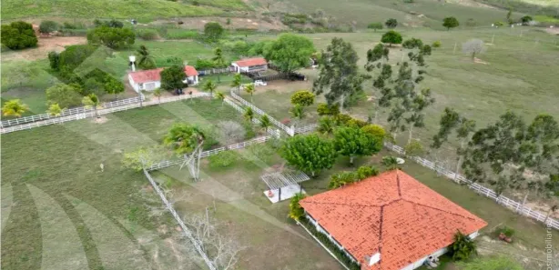 Fazenda / Sítio / Chácara à venda, 150000m² no , Feira Nova