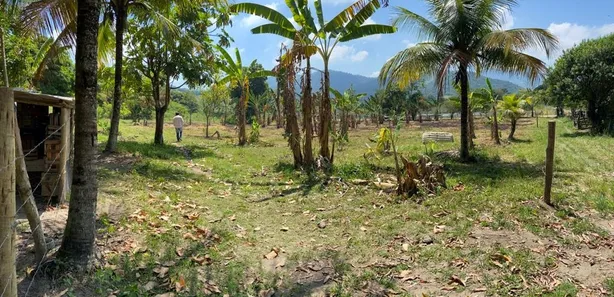 Terreno / Lote / Condomínio à venda, 3250m² no Sampaio Correia (Sampaio Correia), Saquarema
