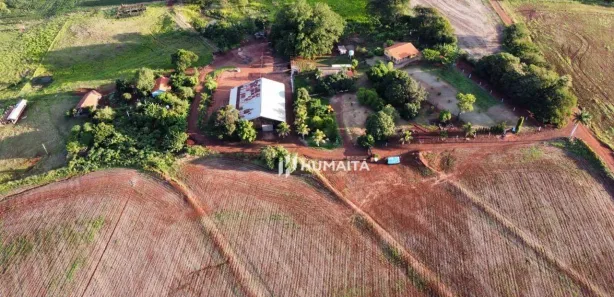 Fazenda / Sítio / Chácara à venda, 2662000m² no Cornélio Procópio, Cornélio Procópio