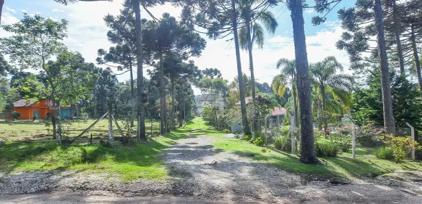 Fazenda / Sítio / Chácara à venda, 10000m² no Timbu, Campina Grande do Sul