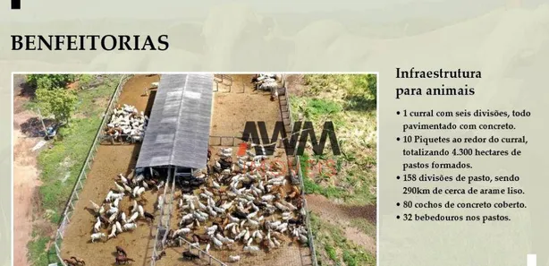 Fazenda / Sítio / Chácara à venda, 97000000m² no , Paranã