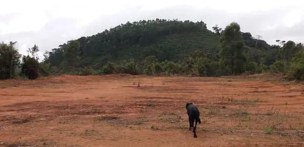 Fazenda / Sítio / Chácara com 3 Quartos à venda, 450m² no Parque Dom João VI, Nova Friburgo