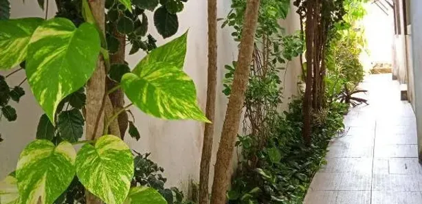 Hotel / Motel / Pousada com 4 Quartos à venda, 135m² no , Tibau do Sul