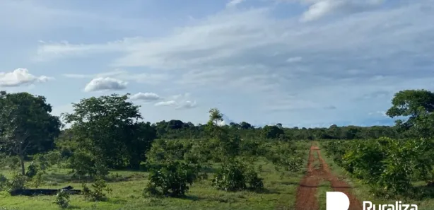 Fazenda / Sítio / Chácara à venda, 842m² no , Rio Sono
