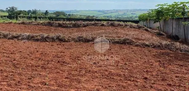 Terreno / Lote / Condomínio à venda, 1636m² no Floraí, Floraí