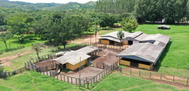Fazenda / Sítio / Chácara com 4 Quartos à venda, 6000000m² no , Padre Bernardo