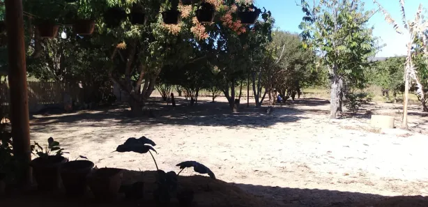 Fazenda / Sítio / Chácara com 3 Quartos à venda, 10000m² no Área Rural de Santo Antônio do Descoberto, Santo Antônio do Descoberto