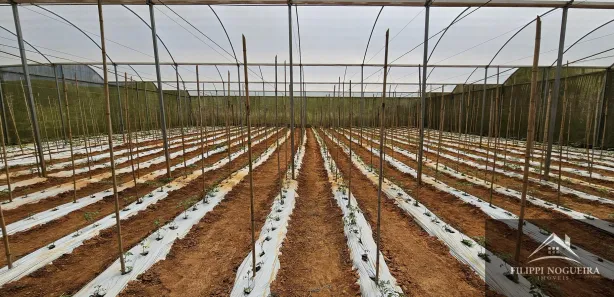 Fazenda / Sítio / Chácara com 4 Quartos à venda, 7395m² no Avelar, Paty do Alferes