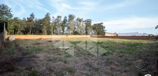 Terreno / Lote / Condomínio para alugar, 3002m² no Pé de Plátano, Santa Maria