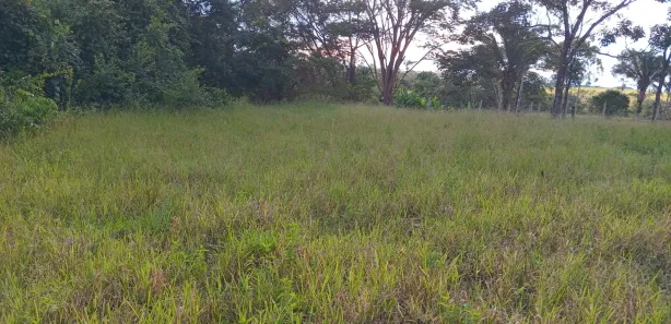Fazenda / Sítio / Chácara com 4 Quartos à venda, 340000m² no Área Rural de Águas Lindas de Goiás, Águas Lindas de Goiás