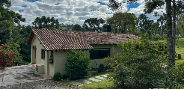 Fazenda / Sítio / Chácara com 2 Quartos à venda, 5999m² no Salgadinho, Campo Largo