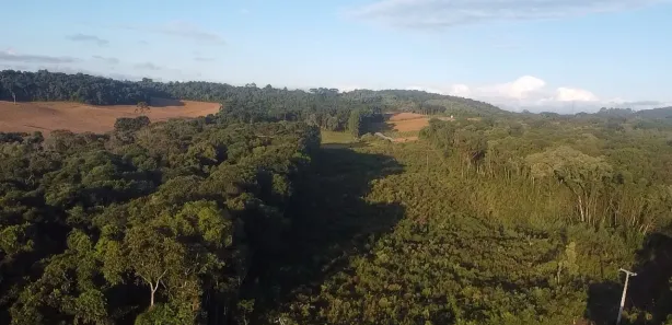 Fazenda / Sítio / Chácara à venda, 44000m² no Área Rural de Almirante Tamandaré, Almirante Tamandaré