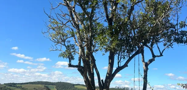 Fazenda / Sítio / Chácara à venda, 500m² no Campo Verde, Ibiúna