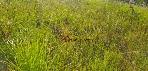Fazenda / Sítio / Chácara à venda, 5072m² no Arataba, Louveira