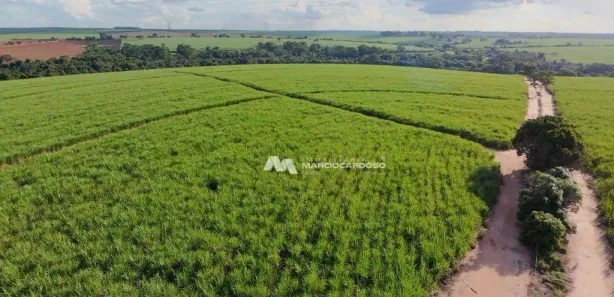 Fazenda / Sítio / Chácara com 3 Quartos à venda, 500m² no Monte Azul Paulista, Monte Azul Paulista