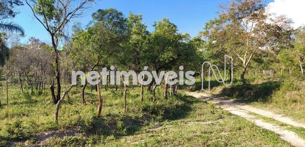 Fazenda / Sítio / Chácara à venda, 154373m² no Área Rural de Santa Luzia, Santa Luzia