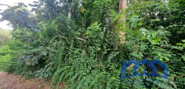 Terreno / Lote / Condomínio à venda, 2146m² no porta do sol, Mairinque