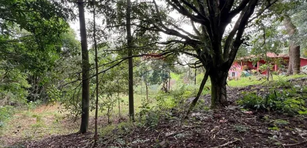 Terreno / Lote / Condomínio à venda, 625m² no Setor de Mansões do Lago Norte, Brasília