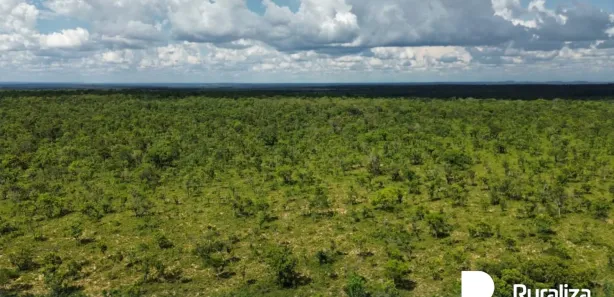 Fazenda / Sítio / Chácara à venda, 1684m² no , Rio Sono