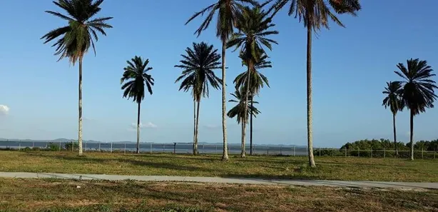 Terreno / Lote / Condomínio à venda, 554m² no , Santo Amaro