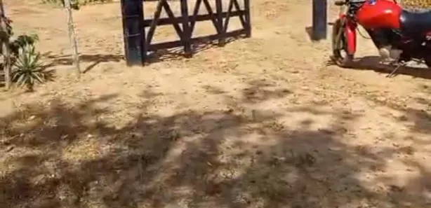 Fazenda / Sítio / Chácara com 4 Quartos à venda, 150000m² no , Feira Nova