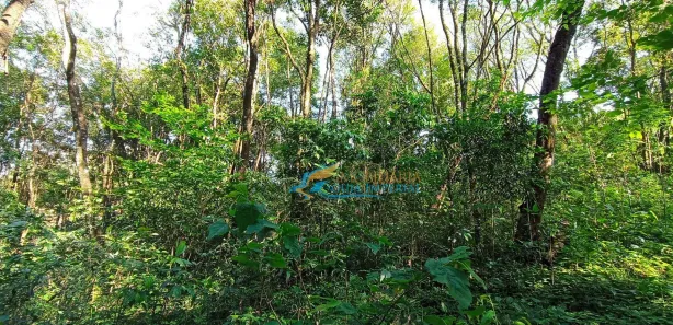 Fazenda / Sítio / Chácara à venda, 24200m² no São João d'Oeste, Cascavel