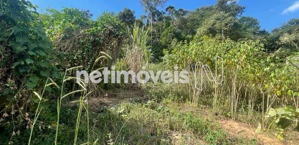 Terreno / Lote Comercial à venda, 360m² no , Florestal