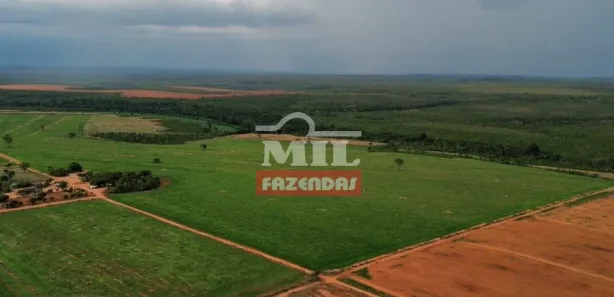 Fazenda / Sítio / Chácara à venda, 500m² no Setor Central, Ponte Alta do Tocantins