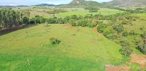 Fazenda / Sítio / Chácara com 4 Quartos à venda, 6000000m² no , Padre Bernardo