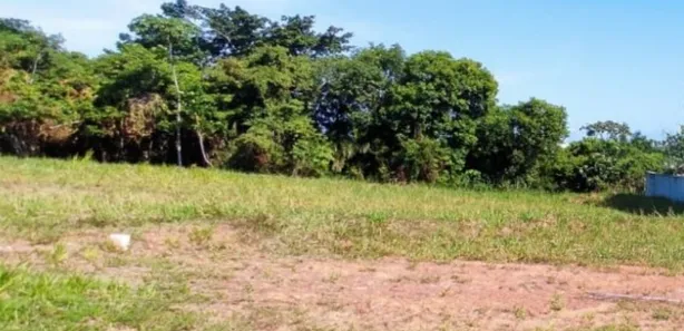Terreno / Lote / Condomínio à venda, 479m² no Busca Vida (Abrantes), Camaçari