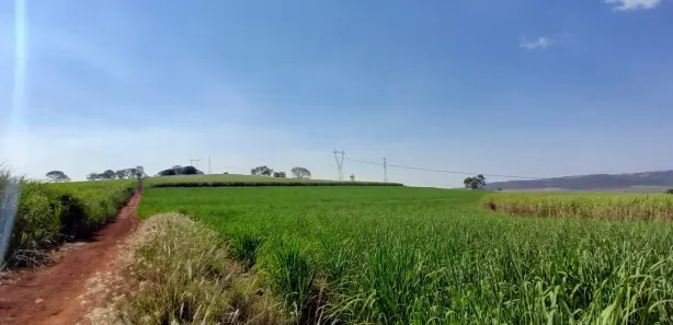 Terreno / Lote / Condomínio à venda, 5000m² no , Cravinhos