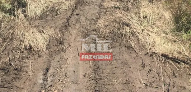 Fazenda / Sítio / Chácara à venda, 7260000m² no , Lagoa da Confusão