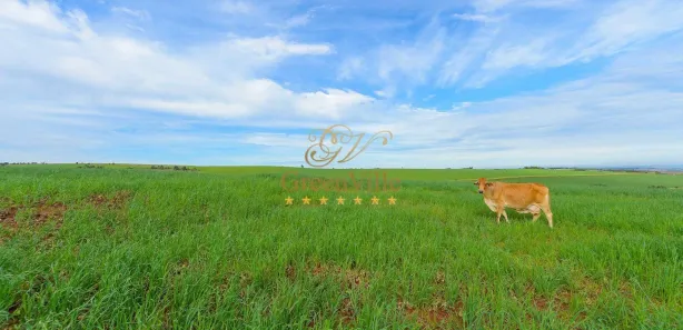 Fazenda / Sítio / Chácara com 4 Quartos à venda, 3146000m² no Colônia Dona Luíza, Ponta Grossa