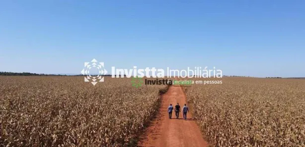 Fazenda / Sítio / Chácara à venda, 1400m² no Luzimangues, Porto Nacional