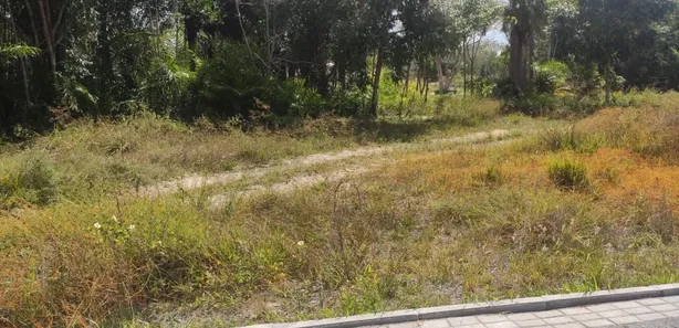 Terreno / Lote / Condomínio à venda, 1117m² no Busca Vida (Abrantes), Camaçari