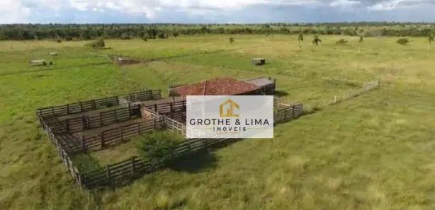 Fazenda / Sítio / Chácara com 6 Quartos à venda, 400m² no Centro, Bernardo Sayão