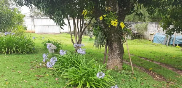 Fazenda / Sítio / Chácara com 2 Quartos à venda, 125m² no Parque Monte Bianco, Araçoiaba da Serra