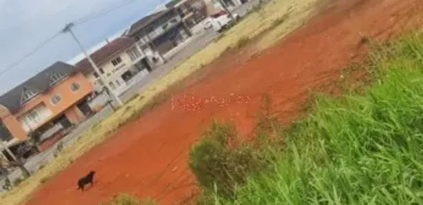 Terreno / Lote / Condomínio à venda, 470m² no Jardim Paulista, Campina Grande do Sul