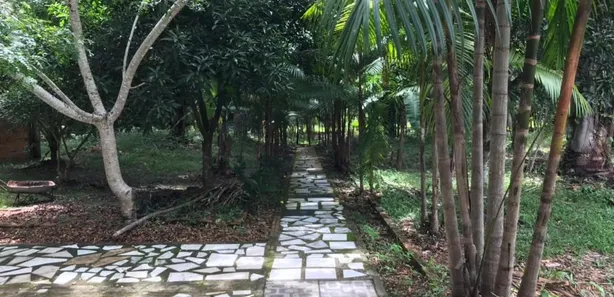 Fazenda / Sítio / Chácara com 2 Quartos à venda, 181660m² no Centro, Morros