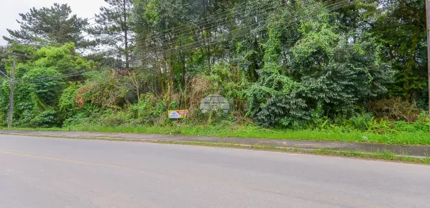 Terreno / Lote / Condomínio à venda, 8709m² no Colonia Santa Gabriela, Almirante Tamandaré