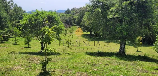 Fazenda / Sítio / Chácara com 1 Quarto à venda, 29519m² no , Tijucas do Sul