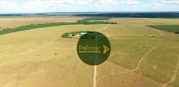 Fazenda / Sítio / Chácara à venda, 173707600m² no Presidente Kennedy, Presidente Kennedy