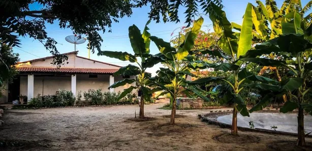 Fazenda / Sítio / Chácara com 2 Quartos à venda, 150m² no , Tururu